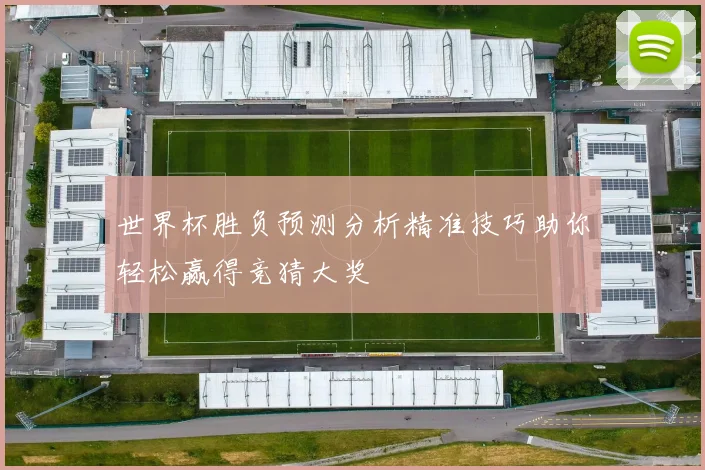 世界杯胜负预测分析精准技巧助你轻松赢得竞猜大奖