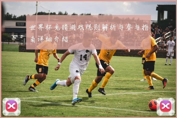 世界杯竞猜游戏规则解析与参与指南详细介绍